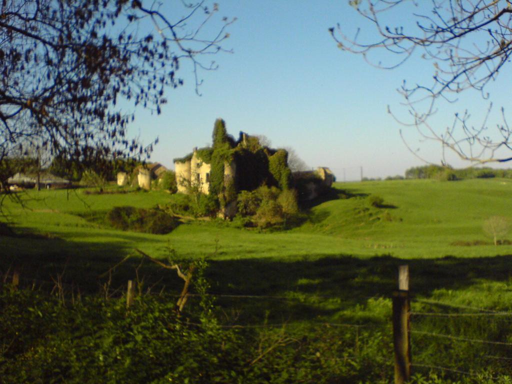 Saint-Péreuse Les Champys旅馆 外观 照片